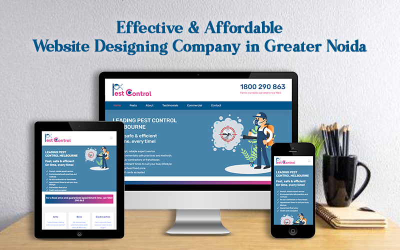 Effective and Affordable Website Designing Company in Greater Noida?